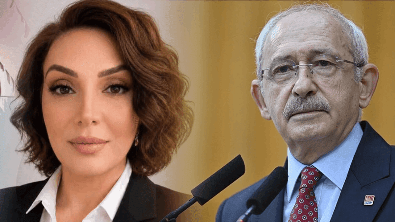 CHP'de 'Çerçeve Yasa' tartışması istifa getirdi