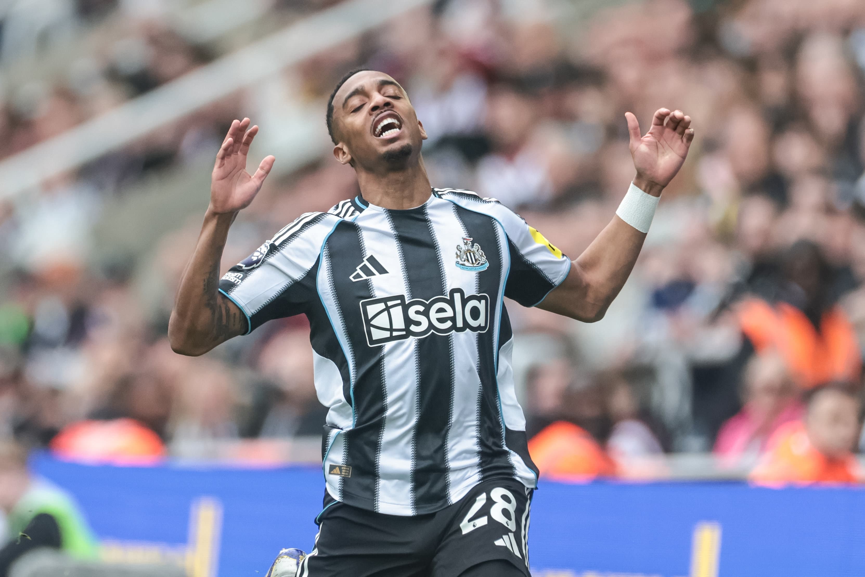 Beşiktaş, Joe Willock transferi için harekete geçti