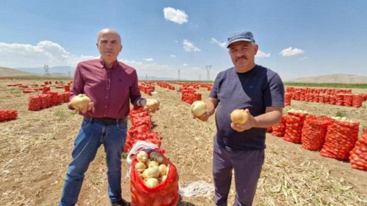 Soğanın tarladan sofraya yolculuğu: 20 TL'den 60 TL'ye fahiş fiyat farkı